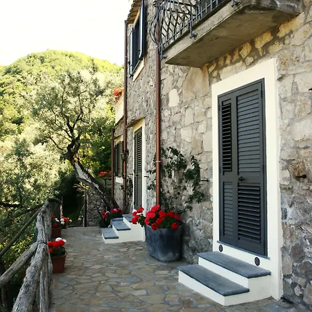 Guest house Casarufolo Paradise 4*