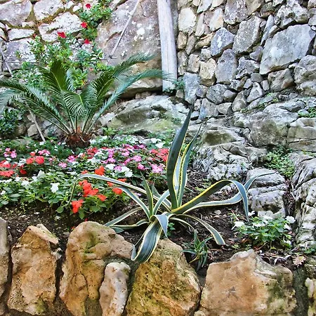 Casarufolo Paradise
